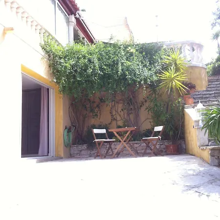 Rose 3* Cassis