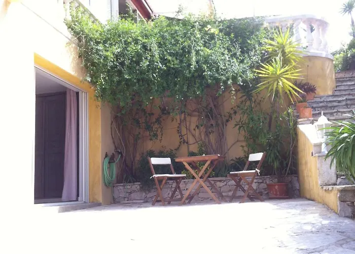 Rose 3* Cassis